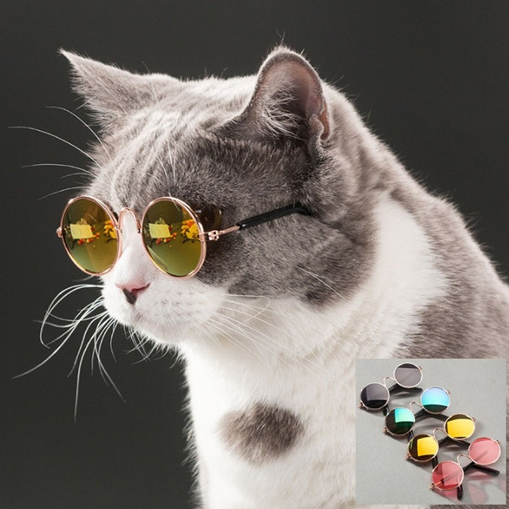 Pet Dog Cat Eye Wear Dog Sunglasses
